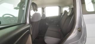 FIAT Panda usata 28