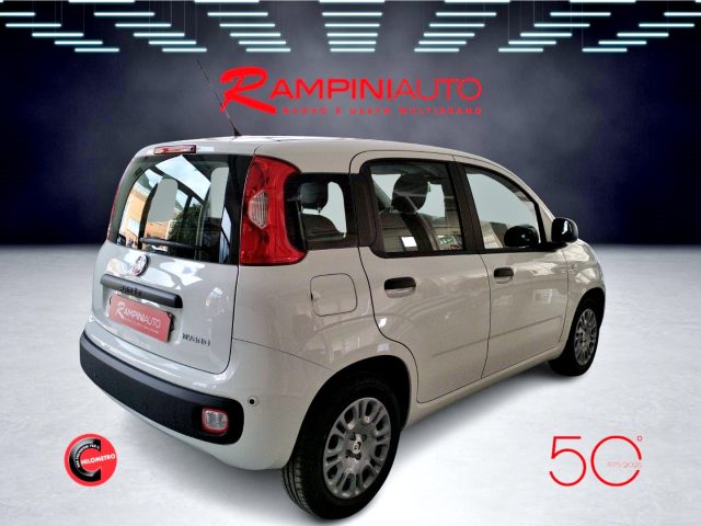 FIAT Panda usata 4