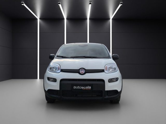FIAT Panda usata, con Climatizzatore