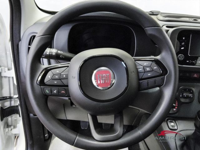 FIAT Panda usata 13