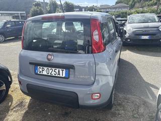 FIAT Panda usata, con Airbag Passeggero