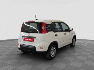 FIAT Panda usata 4