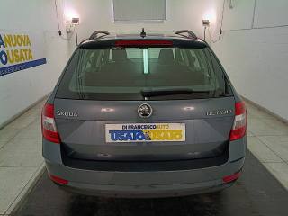 SKODA Octavia usata, con ESP