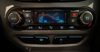 FORD Focus usata 17