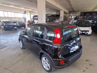 FIAT Panda usata, con Climatizzatore