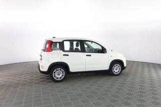 FIAT Panda usata 2