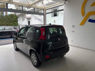 FIAT Panda usata, con Chiusura centralizzata