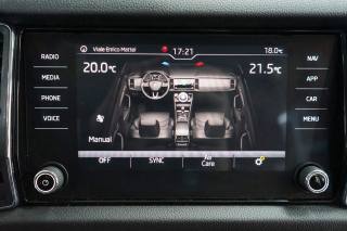 SKODA Kodiaq usata 17