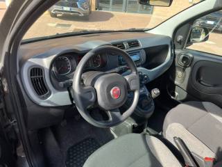 FIAT Panda usata, con Antifurto