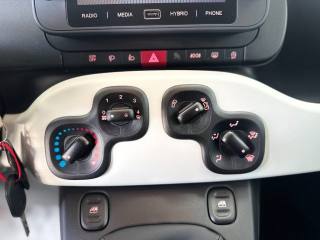 FIAT Panda usata, con Volante multifunzione