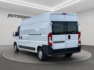 FIAT Ducato usata, con Servosterzo