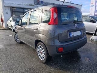 FIAT Panda usata, con Chiusura centralizzata