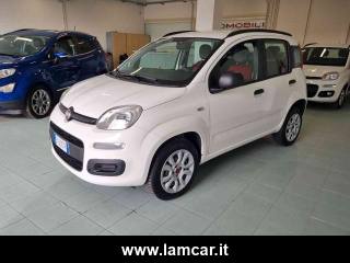 FIAT Panda usata, con Chiusura centralizzata