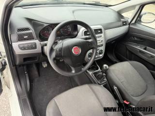 FIAT Punto usata 13
