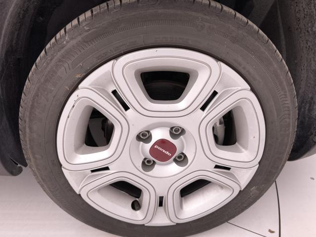 FIAT Panda usata 24