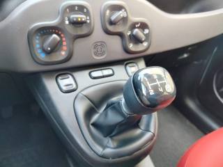 FIAT Panda usata 13