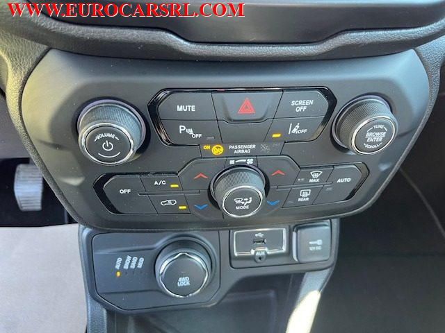 JEEP Renegade usata, con Interni in pelle