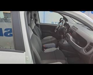 FIAT New Panda usata 16