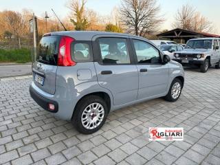 FIAT Panda usata 11