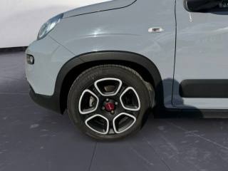 FIAT Panda usata 14