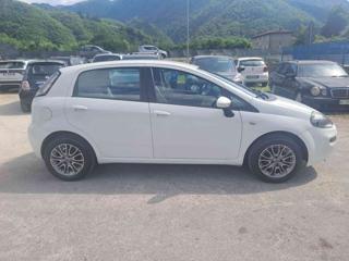 FIAT Punto usata, con Fendinebbia