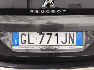 PEUGEOT 3008 usata, con Autoradio digitale