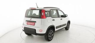 FIAT Panda usata, con Controllo trazione