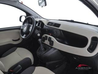 FIAT Panda usata 11