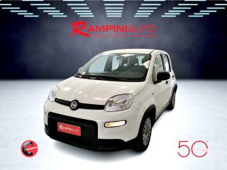 FIAT Panda usata 1