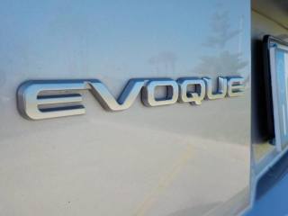 LAND ROVER Range Rover Evoque usata, con Controllo trazione
