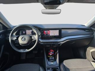 SKODA Octavia usata 11