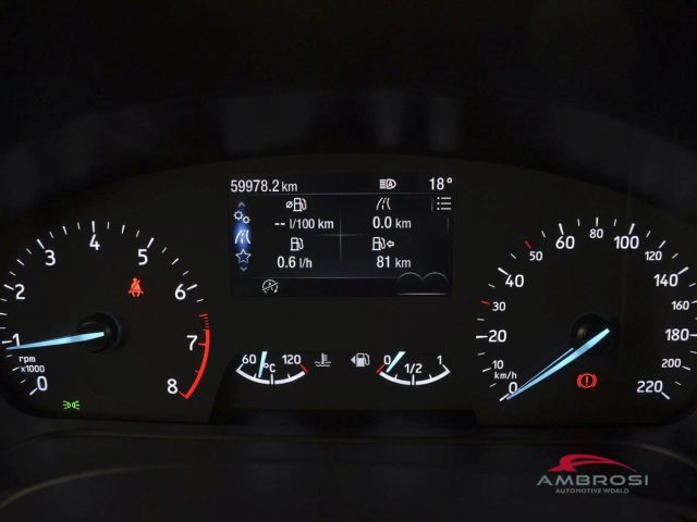 FORD Fiesta usata 12