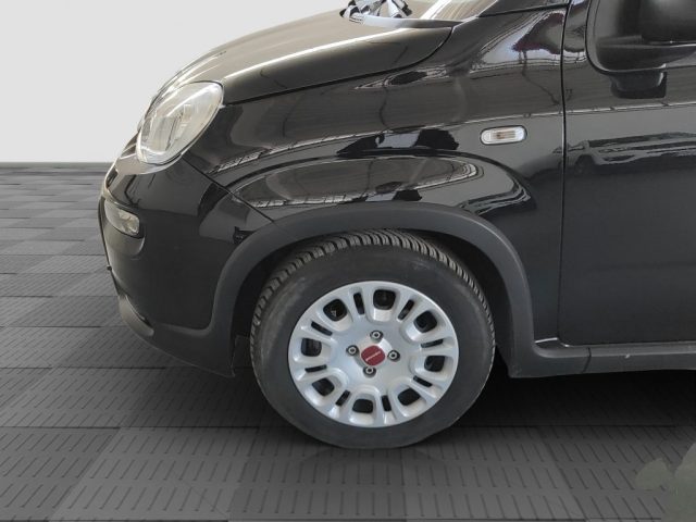 FIAT Panda usata 14