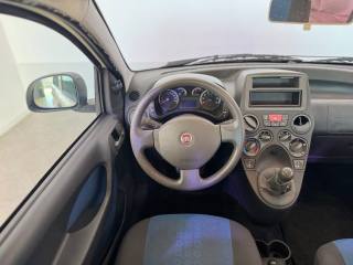 FIAT Panda usata 13