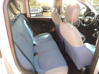 FIAT Panda usata, con Fendinebbia
