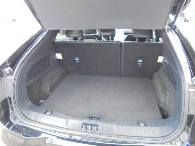 FORD Mustang Mach-E usata 46