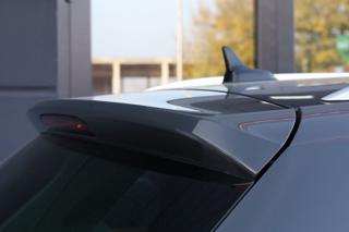 VOLKSWAGEN Tiguan usata, con Hill holder