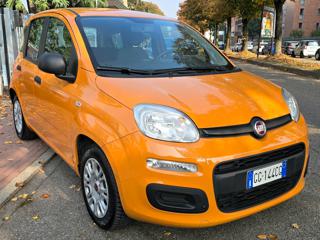 FIAT Panda usata, con Fendinebbia