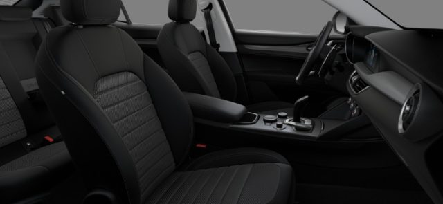 ALFA ROMEO Stelvio usata, con ESP