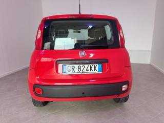 FIAT Panda usata 8