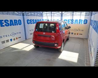 FIAT New Panda usata, con Airbag Passeggero