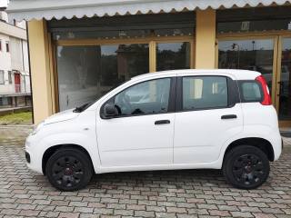 FIAT Panda usata, con Airbag