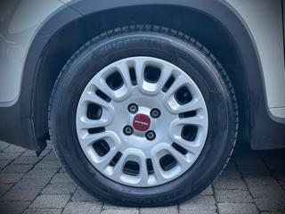 FIAT Panda usata, con Servosterzo