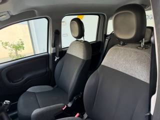 FIAT Panda usata, con Controllo trazione