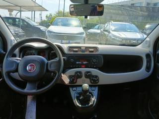 FIAT Panda usata 12