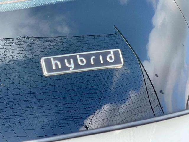 LANCIA Ypsilon usata 14