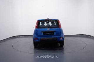 FIAT Panda usata, con Antifurto