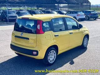 FIAT Panda usata, con Airbag Passeggero