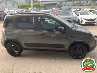 FIAT Panda usata, con Antifurto