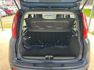 FIAT Panda usata, con Fendinebbia